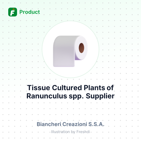 Tissue Cultured Plants of Ranunculus spp. – summary card, no photo uploaded yet