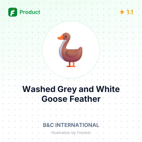 Washed Grey and White Goose Feather – summary card, no photo uploaded yet