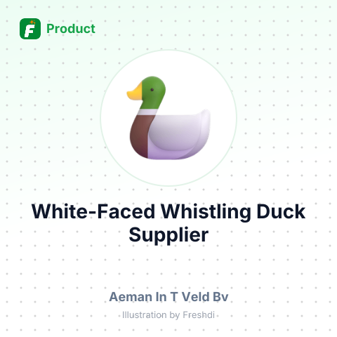 White-Faced Whistling Duck (Dendrocygna arcuata) – summary card, no photo uploaded yet
