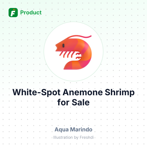 White-spot Anemone Shrimp – summary card, no photo uploaded yet