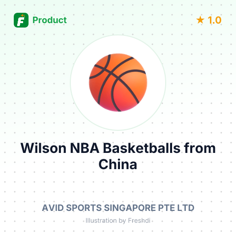 Wilson NBA Basketballs – summary card, no photo uploaded yet