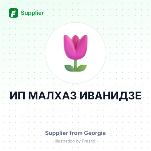ИП МАЛХАЗ ИВАНИДЗЕ – summary card, no photo uploaded yet