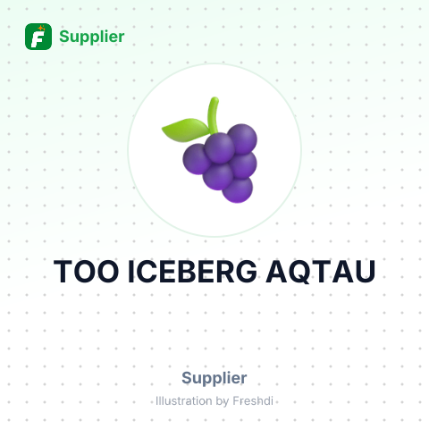 ТОО ICEBERG AQTAU – summary card, no photo uploaded yet