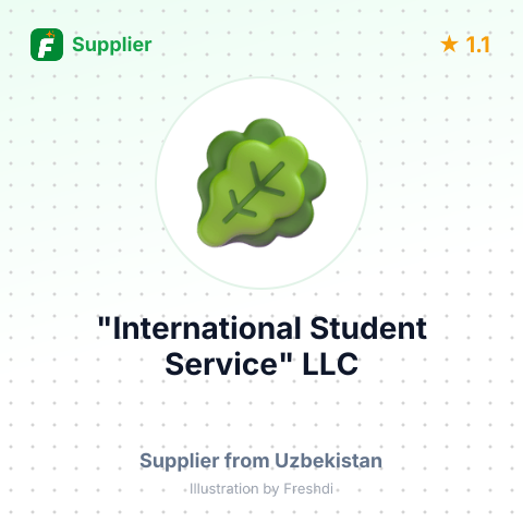 "International Student Service" LLC  – summary card, no photo uploaded yet