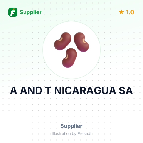 A AND T NICARAGUA SA – summary card, no photo uploaded yet