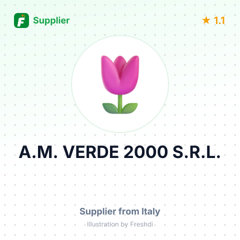 A.M. VERDE 2000 S.R.L. – summary card, no photo uploaded yet