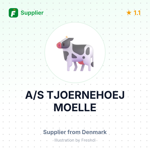 A/S TJOERNEHOEJ MOELLE – summary card, no photo uploaded yet