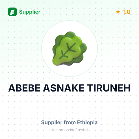 ABEBE ASNAKE TIRUNEH – summary card, no photo uploaded yet