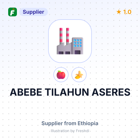 ABEBE TILAHUN ASERES – summary card, no photo uploaded yet
