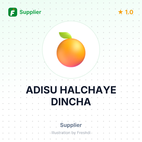 ADISU HALCHAYE DINCHA – summary card, no photo uploaded yet