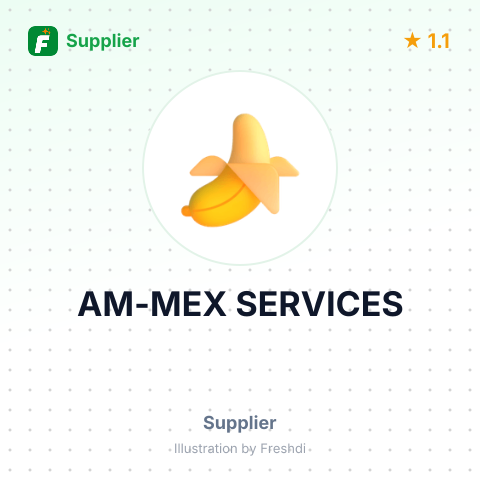 AM-MEX SERVICES – summary card, no photo uploaded yet