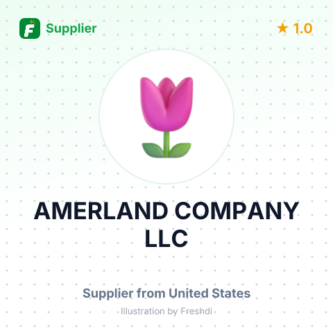 AMERLAND COMPANY LLC – summary card, no photo uploaded yet