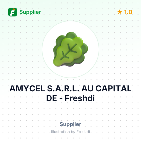 AMYCEL S.A.R.L. AU CAPITAL DE – summary card, no photo uploaded yet