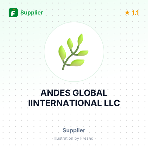 ANDES GLOBAL IINTERNATIONAL LLC – summary card, no photo uploaded yet