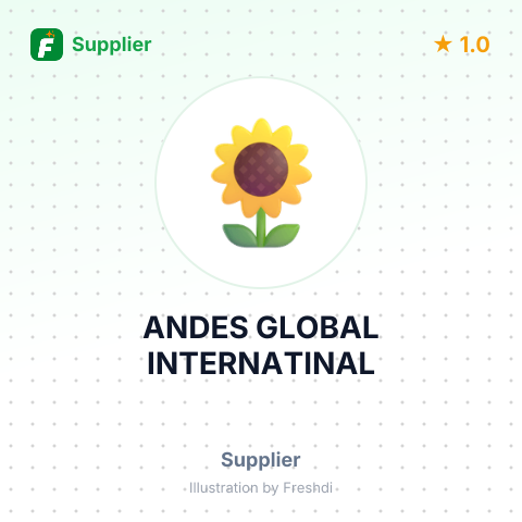 ANDES GLOBAL INTERNATINAL – summary card, no photo uploaded yet