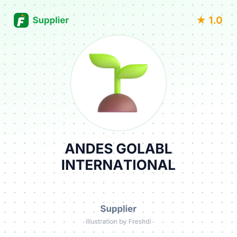 ANDES GOLABL INTERNATIONAL – summary card, no photo uploaded yet