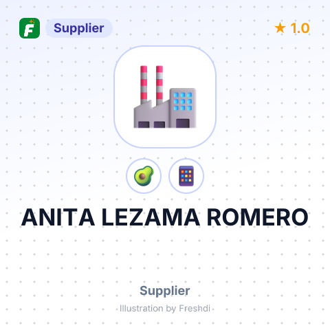 ANITA LEZAMA ROMERO – summary card, no photo uploaded yet