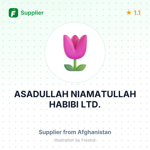 ASADULLAH NIAMATULLAH HABIBI LTD. – summary card, no photo uploaded yet