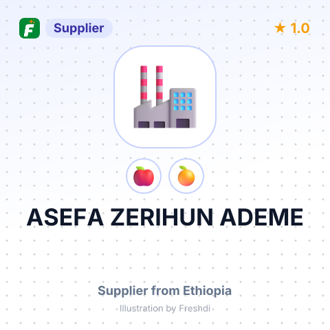 ASEFA ZERIHUN ADEME – summary card, no photo uploaded yet