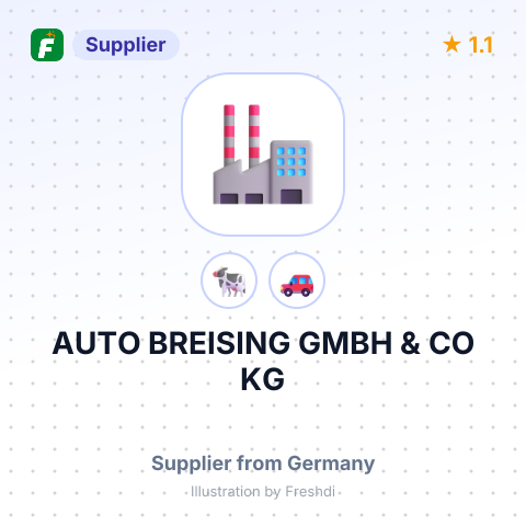 AUTO BREISING GMBH & CO KG – summary card, no photo uploaded yet
