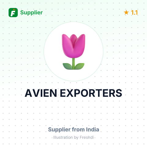 AVIEN EXPORTERS – summary card, no photo uploaded yet