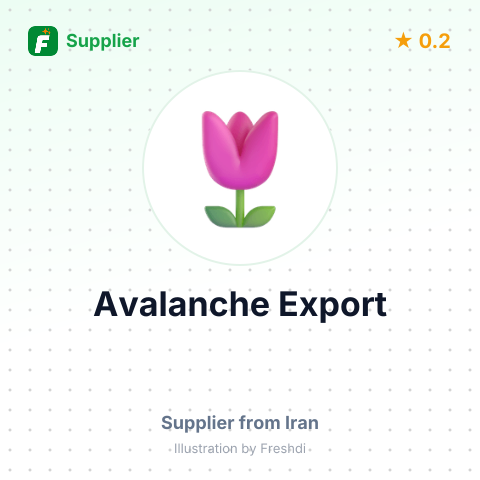 Avalanche Export – summary card, no photo uploaded yet