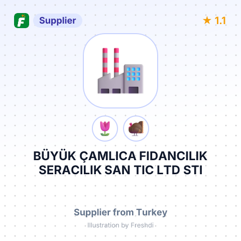 BÜYÜK ÇAMLICA FIDANCILIK SERACILIK SAN TIC LTD STI – summary card, no photo uploaded yet