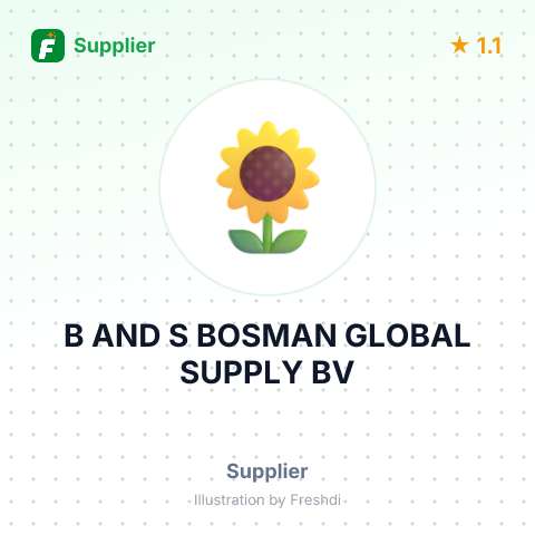 B AND S BOSMAN GLOBAL SUPPLY BV – summary card, no photo uploaded yet