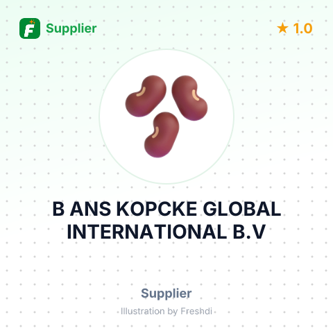 B ANS KOPCKE GLOBAL INTERNATIONAL B.V – summary card, no photo uploaded yet