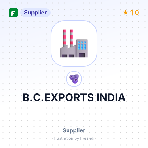 B.C.EXPORTS INDIA – summary card, no photo uploaded yet
