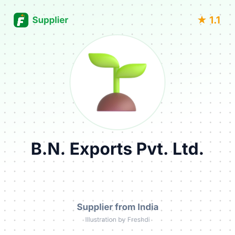 B.N. Exports Pvt. Ltd.  – summary card, no photo uploaded yet