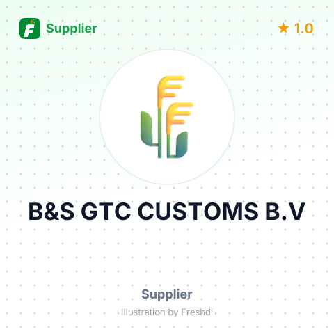 B&S GTC CUSTOMS B.V – summary card, no photo uploaded yet