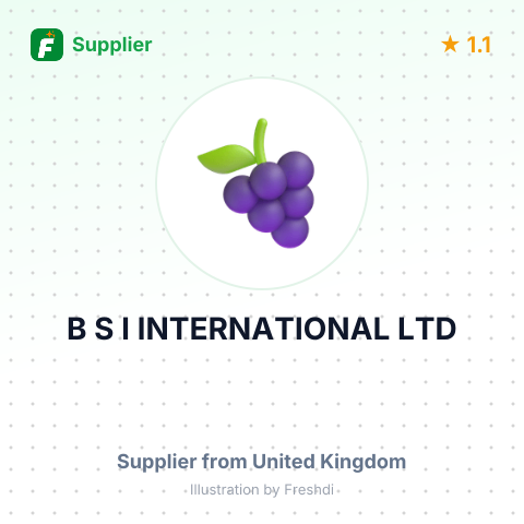 B S I INTERNATIONAL LTD – summary card, no photo uploaded yet