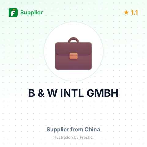 B & W INTL GMBH – summary card, no photo uploaded yet