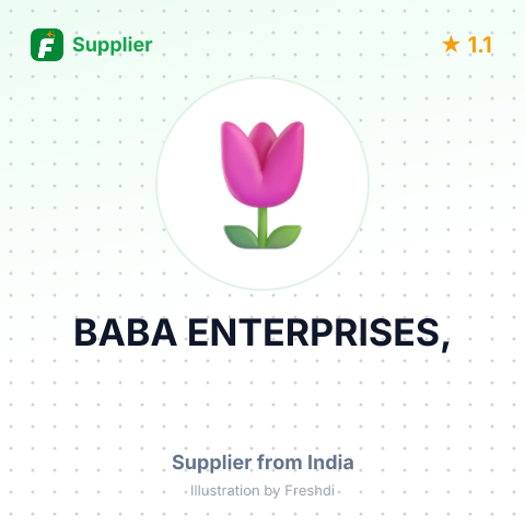 BABA ENTERPRISES, – summary card, no photo uploaded yet