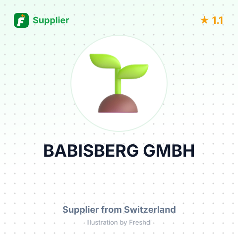BABISBERG GMBH – summary card, no photo uploaded yet
