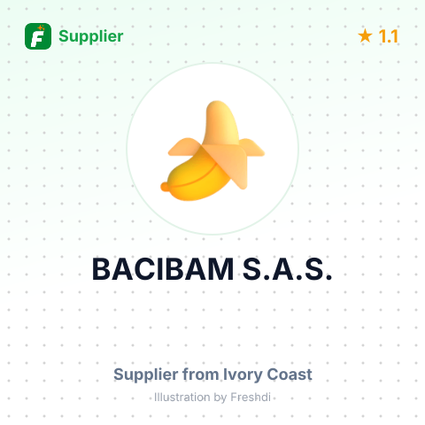 BACIBAM S.A.S. – summary card, no photo uploaded yet