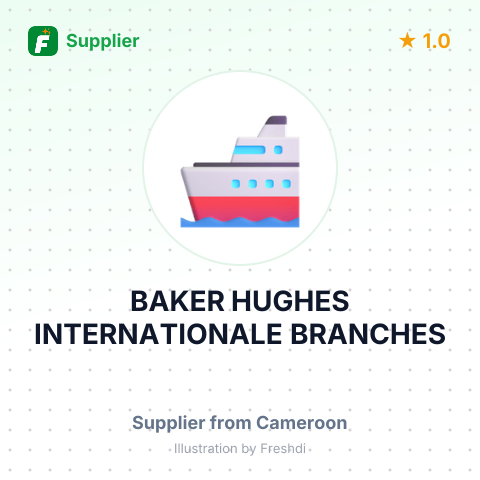 BAKER HUGHES INTERNATIONALE BRANCHES – summary card, no photo uploaded yet
