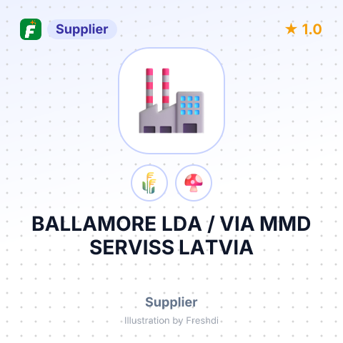 BALLAMORE LDA / VIA MMD SERVISS LATVIA – summary card, no photo uploaded yet