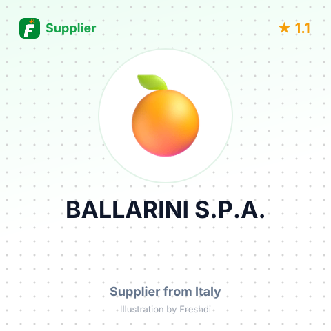 BALLARINI S.P.A. – summary card, no photo uploaded yet