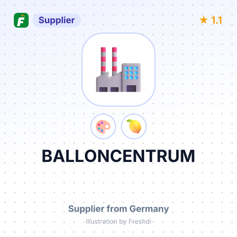 BALLONCENTRUM – summary card, no photo uploaded yet
