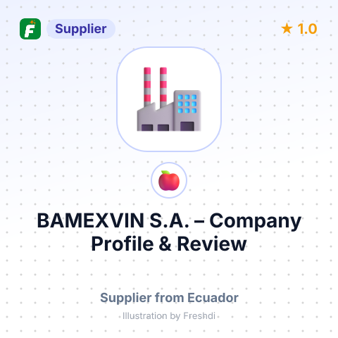 BAMEXVIN S.A. – summary card, no photo uploaded yet