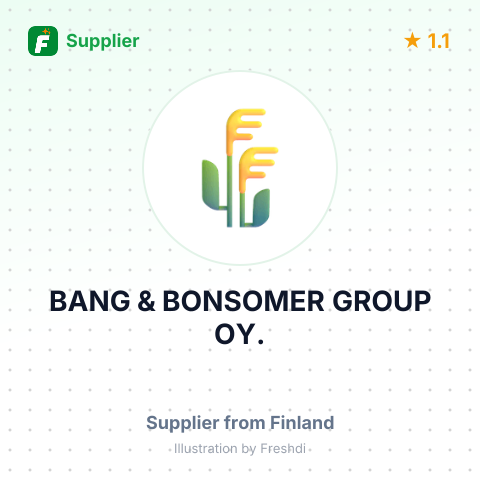BANG & BONSOMER GROUP OY. – summary card, no photo uploaded yet