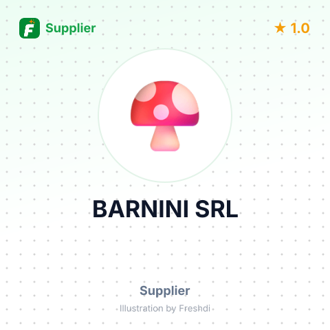 BARNINI SRL – summary card, no photo uploaded yet