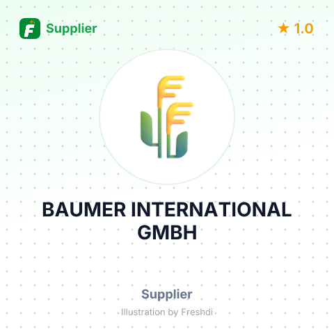 BAUMER INTERNATIONAL GMBH – summary card, no photo uploaded yet