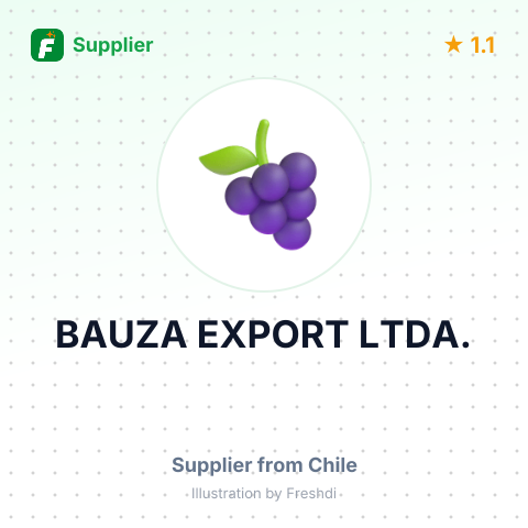 BAUZA EXPORT LTDA. – summary card, no photo uploaded yet