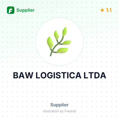 BAW LOGISTICA LTDA – summary card, no photo uploaded yet