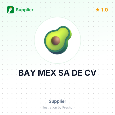 BAY MEX SA DE CV – summary card, no photo uploaded yet