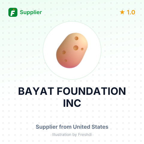 BAYAT FOUNDATION INC – summary card, no photo uploaded yet