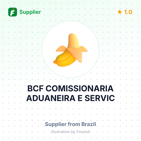 BCF COMISSIONARIA ADUANEIRA E SERVIC – summary card, no photo uploaded yet